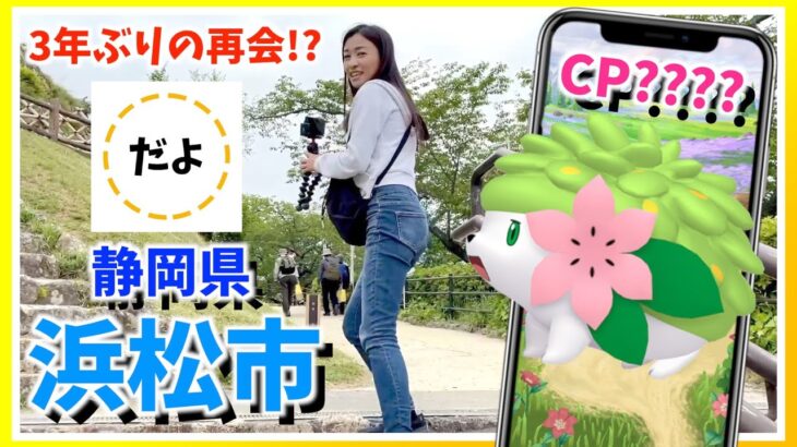 3年ぶりにだよちゃんと再会！！シェイミを探しに浜松城に行ってみた結果！！【ポケモンGO】