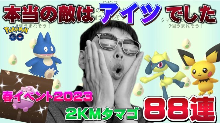 タマゴ割りすぎたらBANされたｗｗｗ2KMタマゴ88連！色違い個体値100狙い！春イベント2023【ポケモンGO】