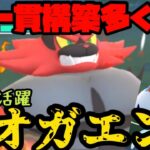 【ポケモンGO】一貫構築多くね？今こそ輝くガオガエン！【自然界カップ】