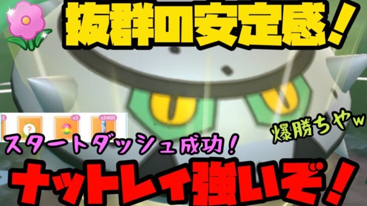 【ポケモンGO】抜群の安定感！ナットレイでスタートダッシュを決めてやれ！【春カップ】