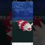 ガラルの色違い⁉️【ポケモンGO】#ゲーム実況 #shorts #ポケモン