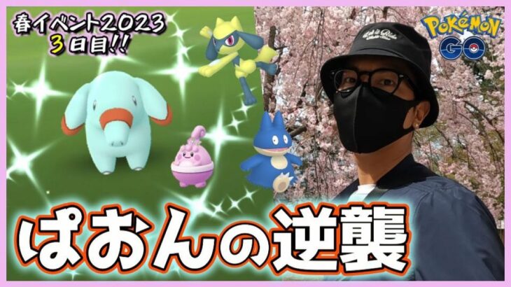 【ポケモンGO】神回！ぱおん系男子の超反撃！ゴマゾウの巣で怒涛の2タマクイック！桜コスのピチューもブイも！リオルもゴンべもピンプクも！全員まとめてかかってこいスペシャル！【春イベント3日目】