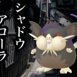 【ポケモンGO】GBL スーパーリーグ〈シャドウアローララッタ〉タチフサグマの影に隠れすぎてるが実は強いシャドウアローララッタだからこそ出来ることもあったりして