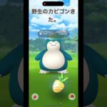 【ポケモンGO】野生のカビゴンがきたでやんすよ。【ポケモンGO】