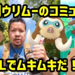 【ポケモンGO】ウリムー狩りじゃー、飴XLを稼ぐ！復刻ウリムーのコミュデイ