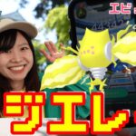 びょんびょん跳ねるレジエレキ⚡エピックレイドin愛知県岡崎市:pokemongo