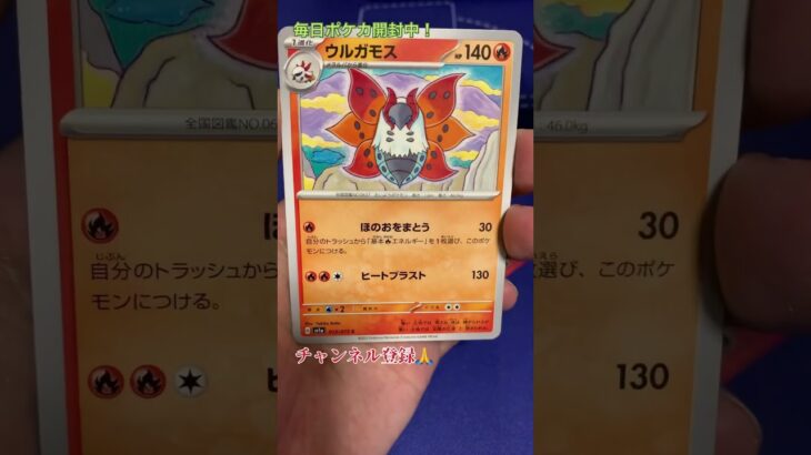 [ポケカ]トリプレットビート開封　#ポケモンカード #オリパ #ポケカ #ガチャ #クレイバースト #スノーハザード