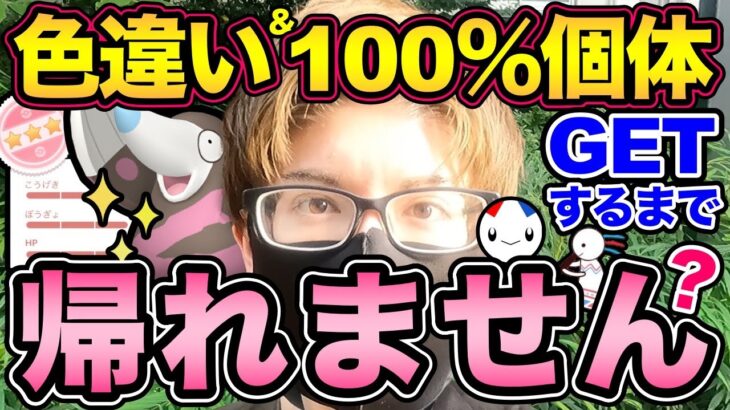 【最高難易度】モグリューの色違いと100％個体が出ないと…とんでもない罰ゲームが！奇跡は起こるのか？【 ポケモンGO 】【 GOバトルリーグ 】【 GBL 】【 鬼畜企画 】