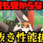 【ポケモンGO】この高火力、誰も受からない！全抜き性能抜群ムクホーク！【陽光カップ】