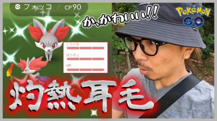 【ポケモンGO】色違い100％を目指して！キツネポケモンを解明せよ！すな3倍ボーナス！ただひたすらにフォッコを狩り倒す「きちゅねのコンコン」コミュデイスペシャル！【ライジングシャドウ前日】