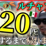 【ポケモンGO】涙の最終回！メキシコでルチャブル20匹捕獲なるか？世界遺産「国立自治大学」「国立人類学博物館」そして愛する歴史地区で感動のフィナーレを魅せるスペシャル！【メキシコ7日目】