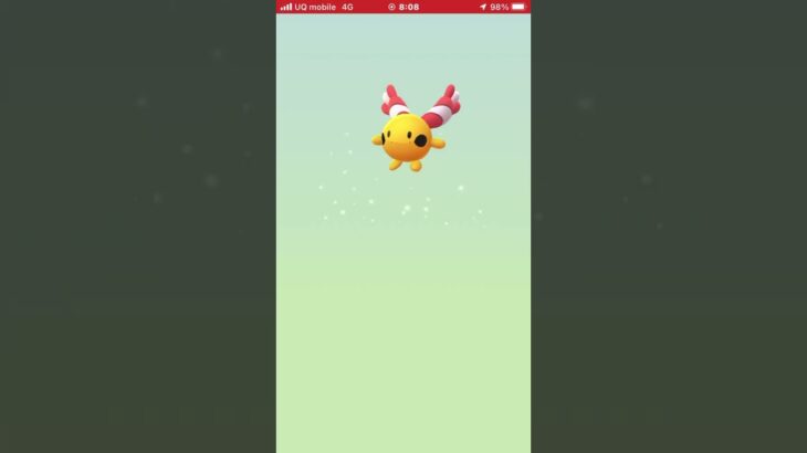 メラルバこねぇ #ポケモンgo #ポケモン #たまご孵化