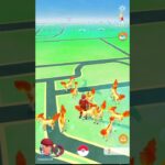 立ち上げたら画面燃えてるんですけど#ポケモンgo