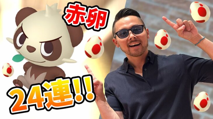 12kmたまご怒涛の24連！！色違いヤンチャムかもーん！【ポケモンGO】