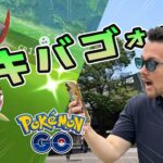 待望のキバゴコミュデイ！開始5分で100%ダッシュ祭り！？色違い100来るか！？【ポケモンGO】【ポケモンGO】