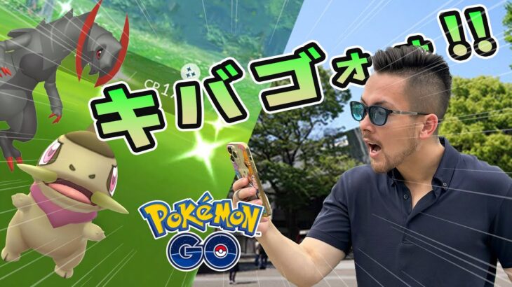 待望のキバゴコミュデイ！開始5分で100%ダッシュ祭り！？色違い100来るか！？【ポケモンGO】【ポケモンGO】