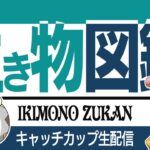 【キャッチカップ】オノノクス、ワイブレはやばすぎん、、、？？【GBL】