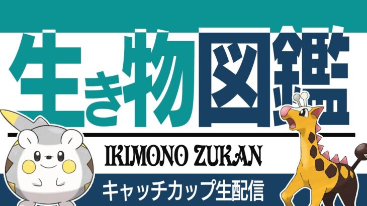 【キャッチカップ】オノノクス、ワイブレはやばすぎん、、、？？【GBL】