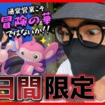 【ポケモンGO】まさに大チャンス！イベント間のスキマお埋めします♡狙うべき野生・レイド・タスク・タマゴを一挙ご紹介！親友との熱きバトルに酔いしれろスペシャル！【通常の嗜み】