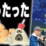 夜の散歩が熱い！？今シーズンの野生湧きとビーチウィーク攻略【ポケモンGO】