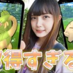 おまけで地域限定！ファミリーマートのスペシャルリサーチがお得！【ポケモンGO】