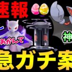 待望のあのシャドウレイド登場！このチャンスを見逃すな！ただ安定のやらかしも…【 ポケモンGO 】【 GOバトルリーグ 】【 GBL 】【 シャドウレイド 】【 スーパーリーグ 】【色違い】