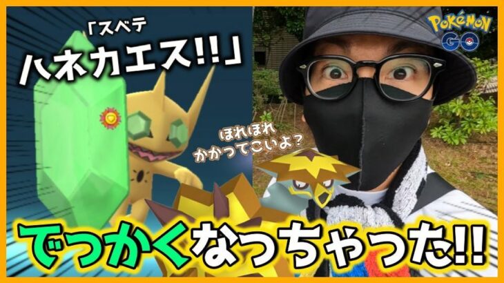 【ポケモンGO】まさか…史上最強クラスの難しさ！？色違いバクガメスを捕獲せよ！メガヤミラミも初登場！「あくorほのお」は究極の選択？初日に魅せる限界突破の超連戦スペシャル！【4日間限定】