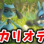 【生配信】リオルふかの日お疲れ様でした！神イベ！色違い大量！ルカリオタイム！ #1236【ポケモンGO】