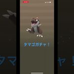 7キロタマゴガチャ！色違いは来るのか！？ #ポケモンgo #ポケモン #色違い 狙い #たまご
