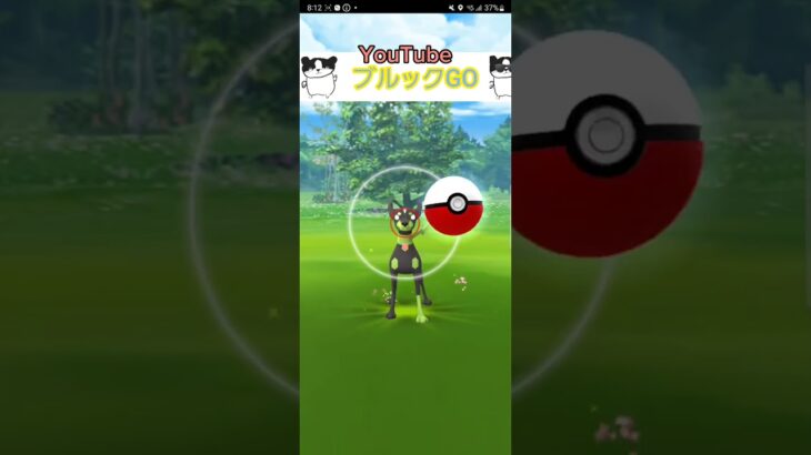 【実装】突然の実装!!?　ジガルデGETだぜ❗？【ポケモンGO】 #shorts