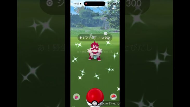 ポケモンGO色違い✨ジグザグマ