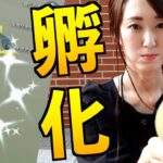 リオル孵化の日!! 色んな意味であつぅぅぅぅー!!!【ポケモンGO】