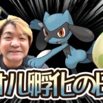 【ポケモンGO】リオル孵化の日♪