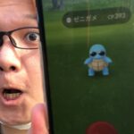 ゼニガメコミュデイやろうぜ!!!ロケライブ配信で雑談【ポケモンGO】