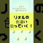 「ポケモンGO」孵化の日で神引きしたよ！？卵ガチャ！