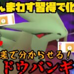 【ポケモンGO】○○の差って奴を分からせてやる！シャドウバンギラスで爆勝ちじゃあ！【マスタープレミア】