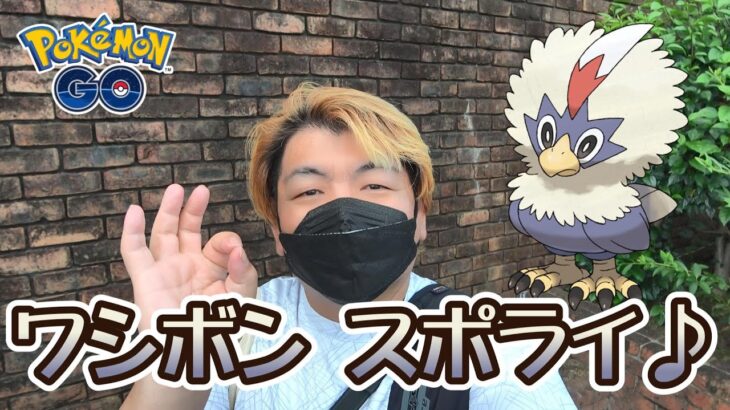 【ポケモンGO】ワシボンスポライ♪