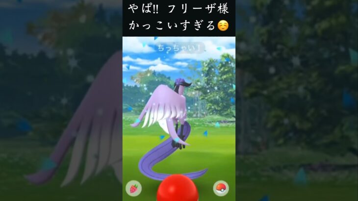 【ポケモンGO】ガラルフリーザー発見! 裏技でゲットできるか検証してみたら!?「ガラル三鳥シリーズ第6弾!」【Pokémon GO】