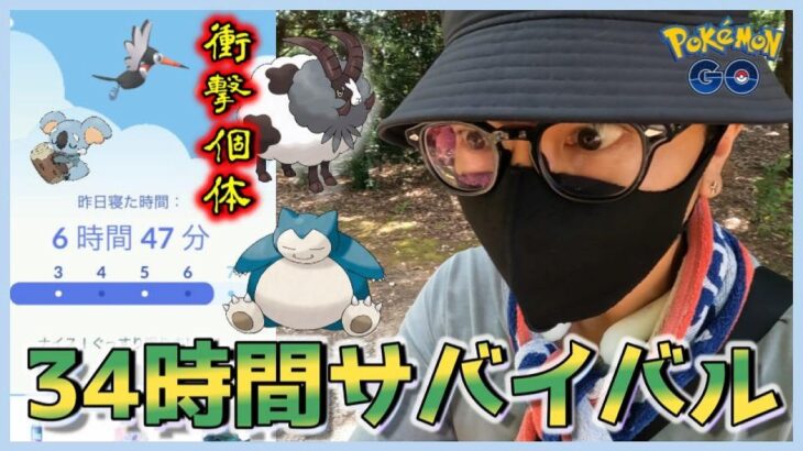 【ポケモンGO】リオルの日はすでに始まっている！超難関ウールー厳選の結果が衝撃だった！謎の「ビーム」タイチャレ出現！？巨大カビゴンおひろめコンテストはどうだったスペシャル！【栃木のお土産】