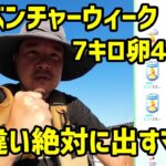 【ポケモンGO】7キロ卵40連！果たして色違いは出るのか？