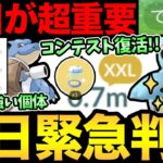 今日が一気に激アツコミュデイに！海外で突然コンテストが復活！？XXL集め急げ！カメックスの重要個体も解説【 ポケモンGO 】【 GOバトルリーグ 】【 GBL 】【 ハイパーリーグ 】【おひろめ機能】