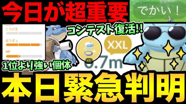 今日が一気に激アツコミュデイに！海外で突然コンテストが復活！？XXL集め急げ！カメックスの重要個体も解説【 ポケモンGO 】【 GOバトルリーグ 】【 GBL 】【 ハイパーリーグ 】【おひろめ機能】