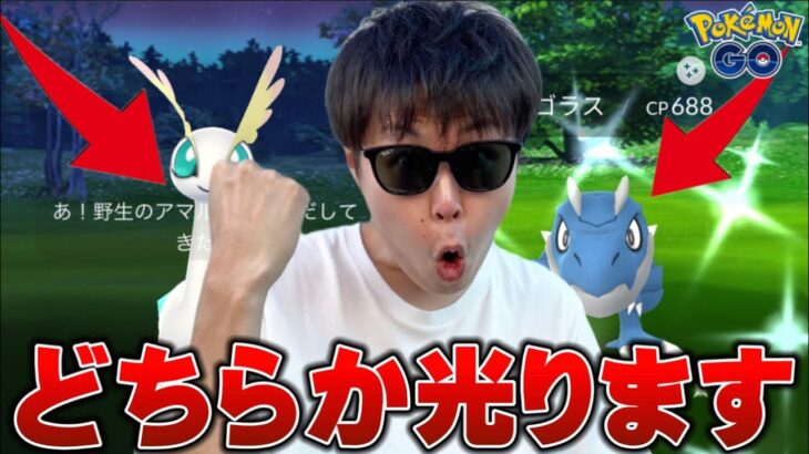 チゴラスorアマルス！この”色違い”の出会いに感謝。【ポケモンGO】