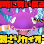 【ポケモンGO】ついに舞い戻る…っ！現環境にぶっ刺さり！色100カイオーガ！【マスターリーグ】