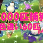 ✨GOフェス2023 3000匹捕獲 色違い60匹✨ part2