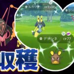 推しポケの色違いたくさん！GOFest2023大阪の結果報告をするよ！【ポケモンGO】