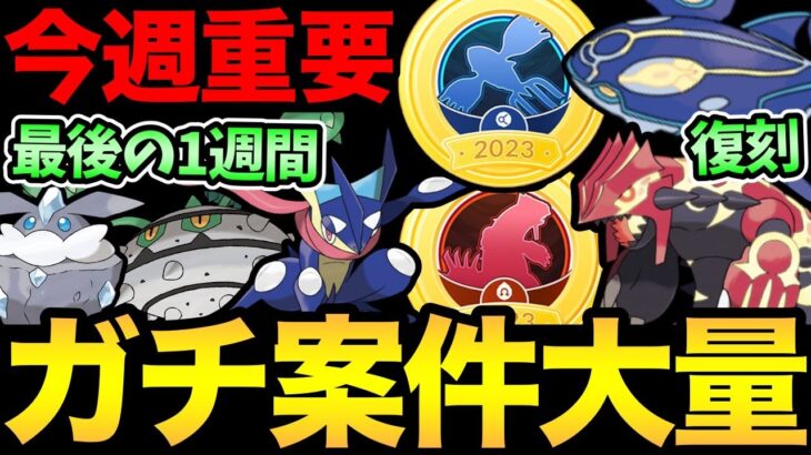 超大忙しのポケGOウィーク開始！嬉しい最強ポケモンの復刻！GBLも最後の1週間に突入！最高が始まる！【 ポケモンGO 】【 GOバトルリーグ 】【 GBL 】【 gofest 】