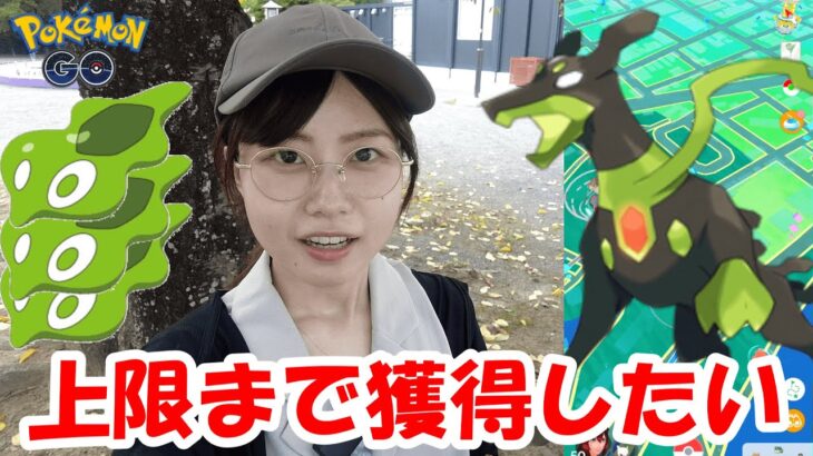 ジガルデセル上限まで獲得が理想なんだけど・・・in愛知県岡崎市:ポケモンgo