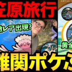 都内から1000km！片道24時間かかる島でポケ活！？小笠原の絶景とポケふた！さらにあの激レアとの遭遇も…？【 ポケモンGO 】【 GOバトルリーグ 】【 GBL 】