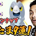 ラインナップ変更!!セビエ狙いの10kmたまご9連だ！！【ポケモンGO】